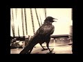 J. A. Seazer - Crow (1974) J・A・シーザー - カラス