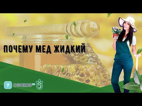 Почему мед жидкий