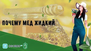 Почему мед жидкий