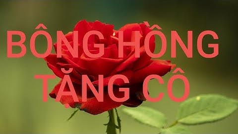 Cô và trò cùng biểu diễn Bông hồng tặng cô, hòa tấu đàn tơ rưng, organ, guitar, đàn tranh