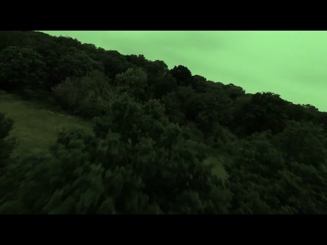 THE WAEVE - OVER AND OVER