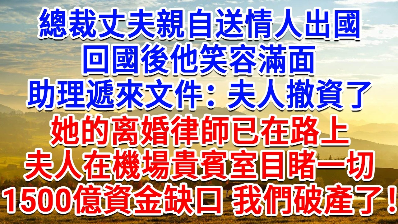 總裁丈夫親自送情人出國，回國後他笑容滿面，助理遞來文件：夫人撤資了，她的离婚律師已在路上，夫人在機場貴賓室目睹一切，1500億資金缺口 我們破產了！#生活經驗#情感故事#故事#小說#戀愛#情感#婚姻