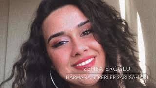 Zehra Eroğlu - Harmana Serdiler Sarı Samanı Resimi