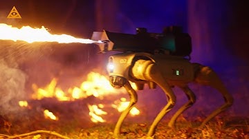 Thermonator: the first-ever flamethrower-wielding robot dog.