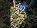 Grand Mosque of Paris 🌿🕌 | Garden ModelParis Mosque Courtyard 😍 | Full HD Miniature