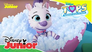 T.O.P.S.: Transporte Oficial de Peques: Un día cualquiera con Pip y Freddy | Disney Junior Oficial