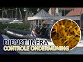 Politie Dienst INFRA Noord-West en Politie Eenheid Noord-Holland | integrale controle Enkhuizen.
