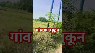 Odhni ke kor se #viral #fanart #cute #nature #villagelife #shorts #video