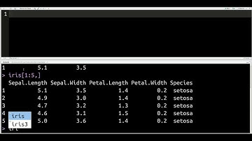 Subsetting Data in R