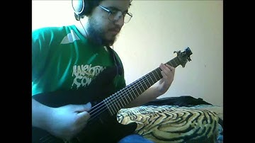 Animals As Leaders -An Infinite Regression -Slap interlude