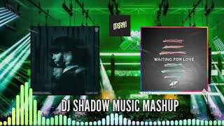 Carry You & Waiting for Love (DJ Shadow Music Mashup) | Martin Garrix, Third Party, AVICII