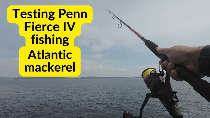 PENN Fierce 4 review, compared against the Fierce 3 spinning reel