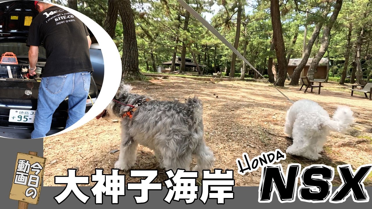 NSX, Me, and Garage Life: Walking the Dog - YouTube