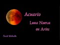 Acuario Asc Luna Nueva en ♈ Nuevos vínculos, proyectos y mucha comunicación✨