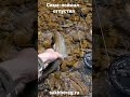 Рыбалка на Сахалине. Рыболовный тур за Симой