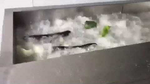 Máy rửa rau, củ , quả tự động