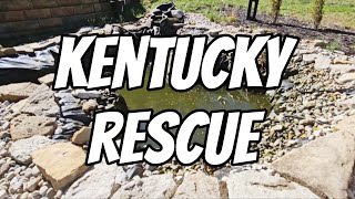 видео: Спасение в Кентукки картинка: Спасение в Кентукки