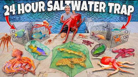 24 HOUR FISH TRAP Catches TONS of FISH For My SALTWATER POND! (Creepy OCTOPUS)