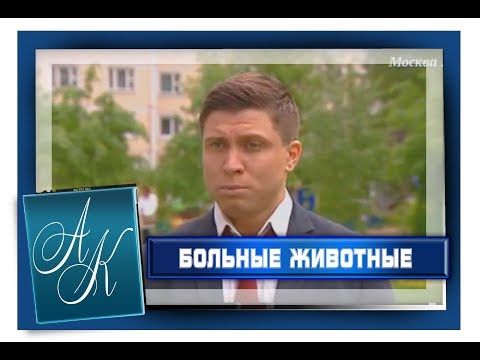 Адвокат Алексей Кузнецов в сюжете Больные животные "Птичьего рынка"