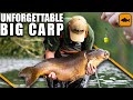 The quest a french adventure  carp fishing