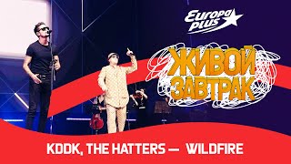 KDDK & The Hatters — Wildfire | Живой Завтрак 2023