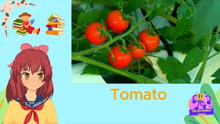 Vegetable Vocab for Kids | English Learning