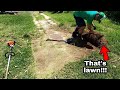 NEGLECTED driveway RESCUED from overgrown lawn!!!