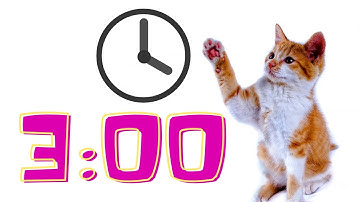3 Minute Timer | Animals