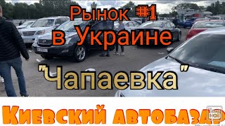 «Чапаевка» крупнейший авторынок Украины, г. Киев. Цены на авто