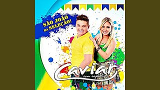 Internauta do Amor