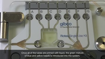 Gibco™ CTS™ Rotea™ System bead kit: How to run a separation protocol
