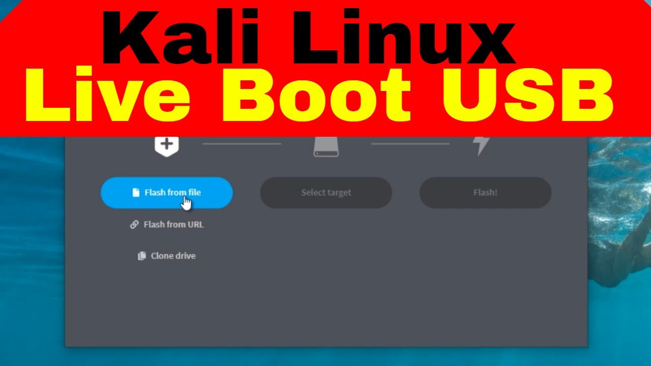 kali linux live usb