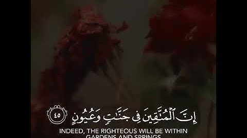 قرآن كريم بصوت القارئ احمد النفيس تلاوة خاشعة ارح قلبك 💚🌿حالة واتس إسلامية /استوري انستغرام
