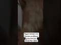 Fagor üniteli cnc Router problemi giderilmiştir0543 961 0821#shortvideo #cncrouter #cnc