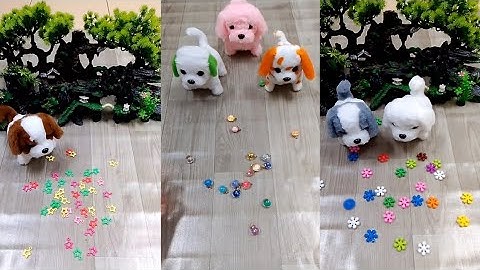 Satisfying video Reverse ASMR soud/🐶 🐕✨ Cute dog ✨🐕🐕