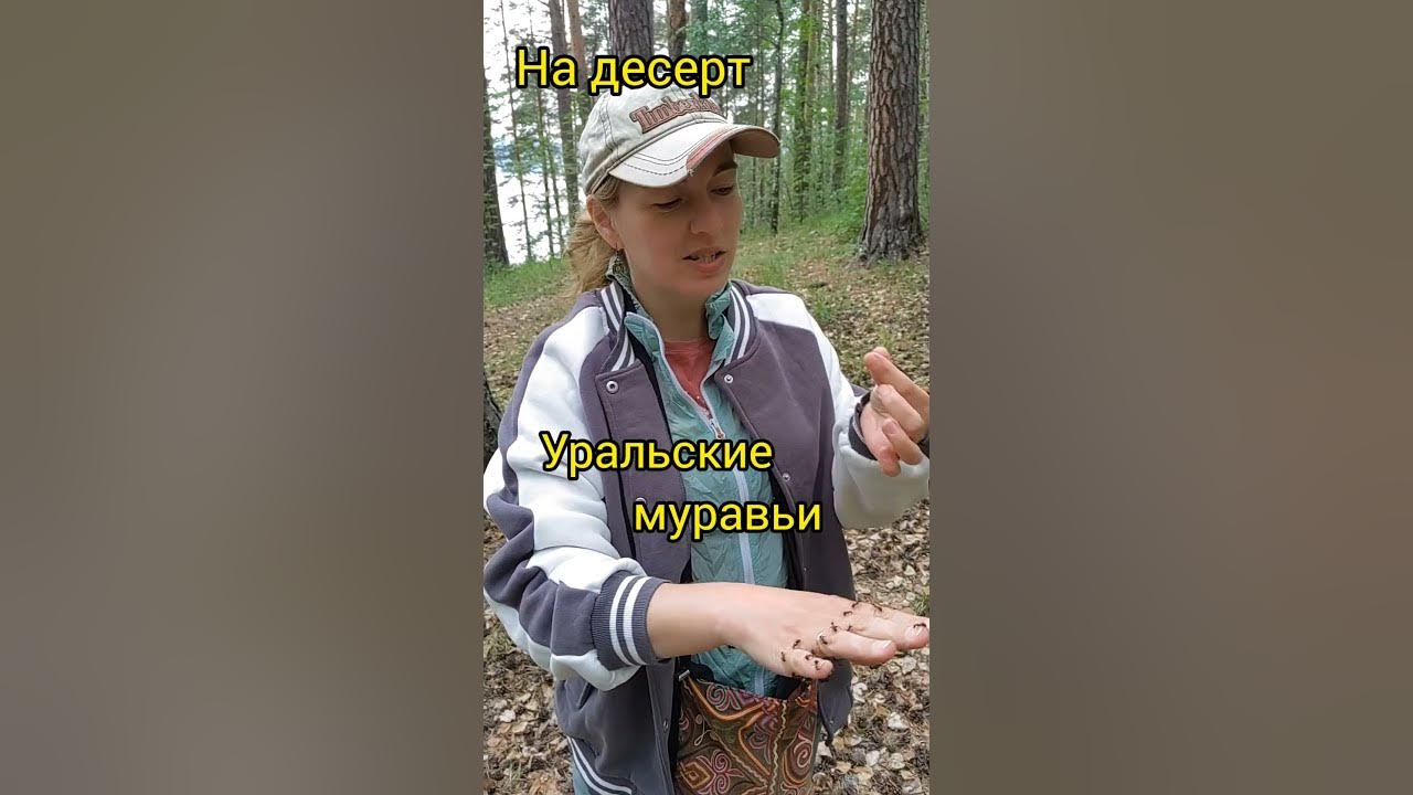 ДЕССЕРТ 🍡 🐜 - YouTube