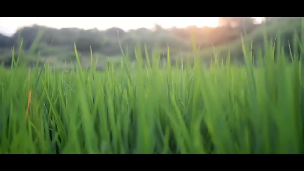 touch grass + experimental type beat - mirage