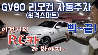 GV80스마트주차 해보자고! GV80자동주차 죽여줍니다요^^ GV80스마트원격주차 리뷰!