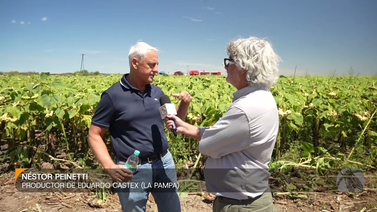 Néstor Peinetti, productor de Eduardo Castex (La Pampa)