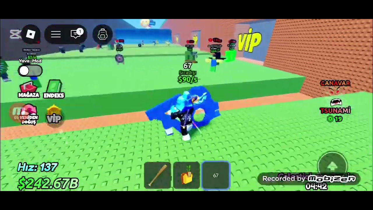 Tusunamiden braniot alma