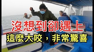 沒想到卻遇這麼大咬，非常驚喜