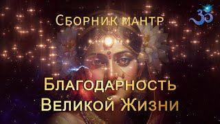 Невероятнонежные мантры Благодарности Жизни