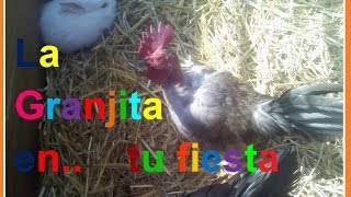 FIESTAS INFANTILES. Granja Didáctica. D.F. a domicilio.