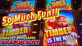 Timber is the new Winner! Timber Jack Going Wilder Slot YAAMAVA