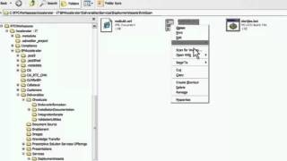 Rational Asset Analyzer and Rational Team Concert in IBM integrated solution for System z