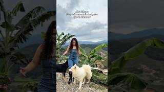 Se Puede Amar Más Un Perro Que Un Humano?