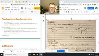 Chapter 19 Slides 19-23