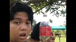 Download lagu coca-cola version(ratatouille)🤣