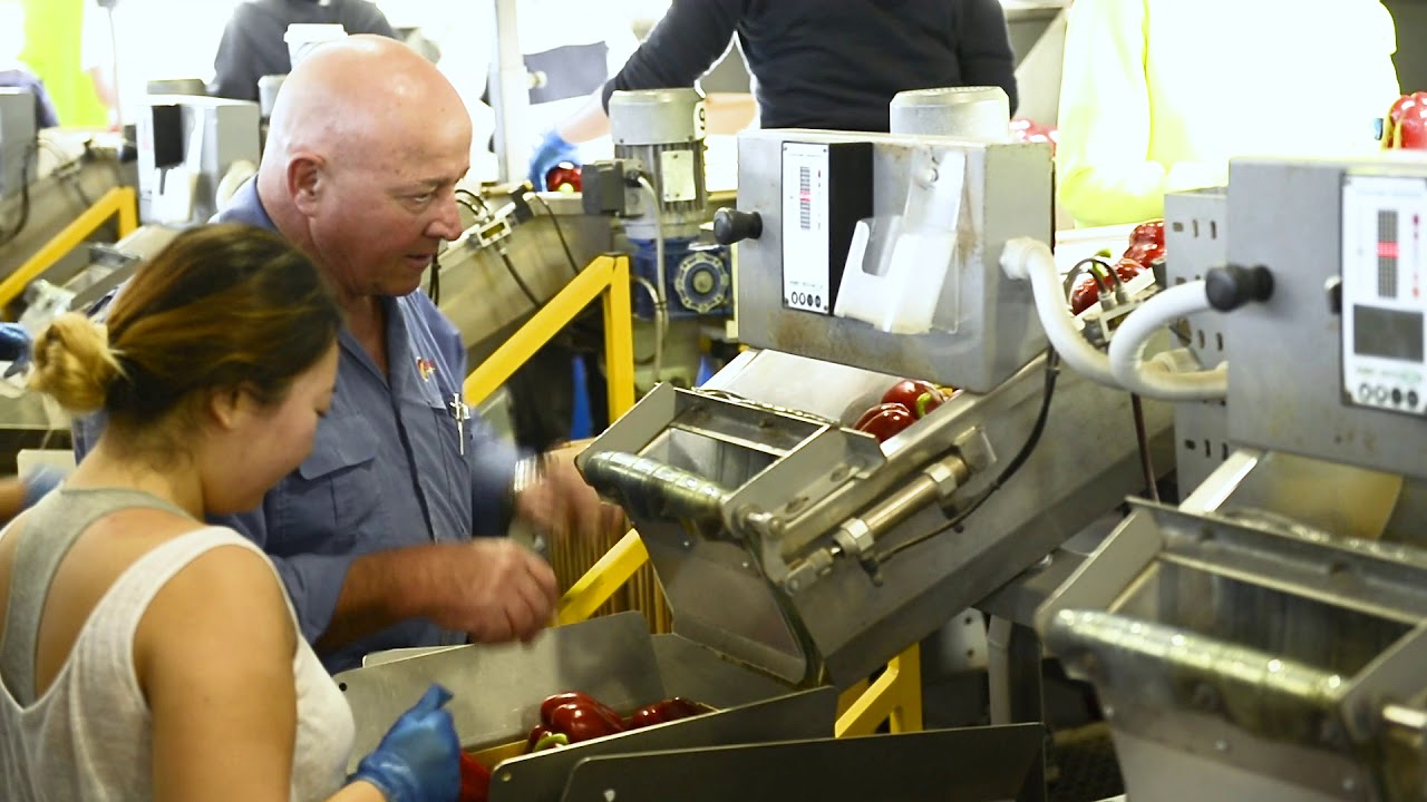 Des Chapman, Rocky Ponds Produce YouTube