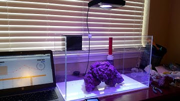 Programming my Radion Pro Xr15, WXM , Apex system